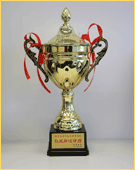 奖杯：权威拆迁律师