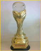 奖杯：责任拆迁征地律师团